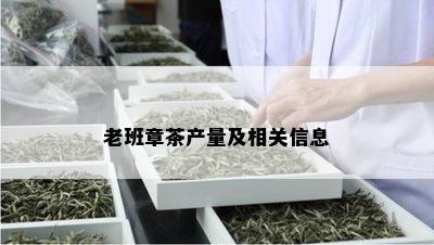 老班章茶产量及相关信息