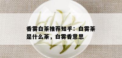 香雾白茶推荐知乎：白雾茶是什么茶，白雾香意思