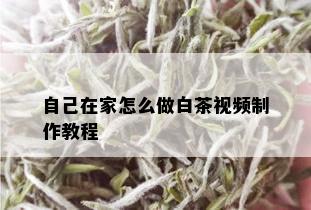 自己在家怎么做白茶视频制作教程