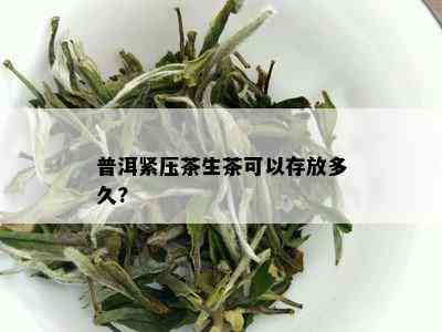 普洱紧压茶生茶可以存放多久?