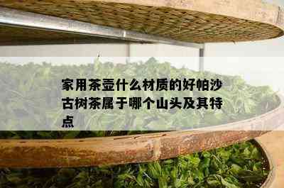 家用茶壶什么材质的好帕沙古树茶属于哪个山头及其特点