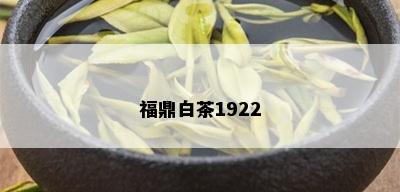 福鼎白茶1922