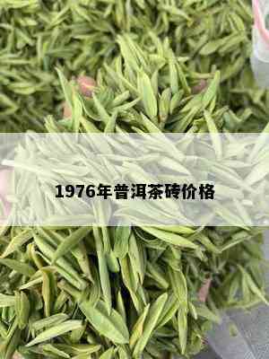 1976年普洱茶砖价格