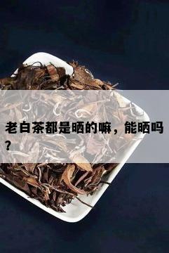 老白茶都是晒的嘛，能晒吗？