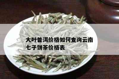 大叶普洱价格如何查询云南七子饼茶价格表