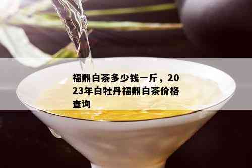 福鼎白茶多少钱一斤，2023年白牡丹福鼎白茶价格查询