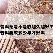 普洱茶是不是放越久越好生普洱要放多少年才好喝