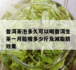 普洱茶泡多久可以喝普洱生茶一月能瘦多少斤及减脂肪效果