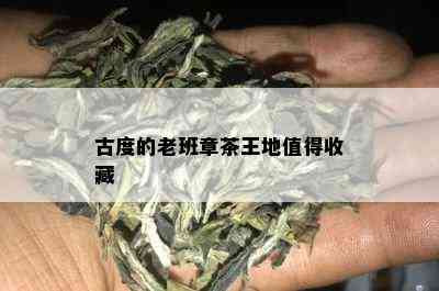 古度的老班章茶王地值得收藏