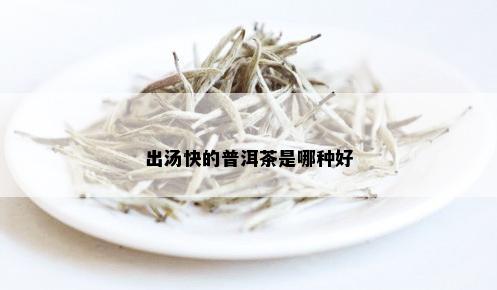 出汤快的普洱茶是哪种好