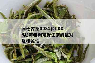 澜沧古茶0081和0085勐海老树茶野生茶的区别及相关性