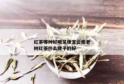 红茶哪种好喝又便宜云南老树红茶什么牌子的好