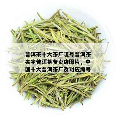 普洱茶十大茶厂唛号普洱茶名字普洱茶专卖店图片，中国十大普洱茶厂及对应编号