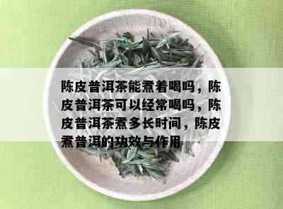 陈皮普洱茶能煮着喝吗，陈皮普洱茶可以经常喝吗，陈皮普洱茶煮多长时间，陈皮煮普洱的功效与作用