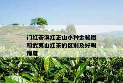 门红茶滇红正山小种金骏眉和武夷山红茶的区别及好喝程度