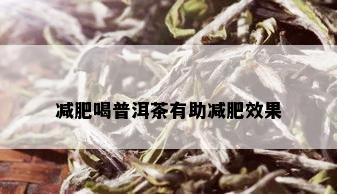 减肥喝普洱茶有助减肥效果