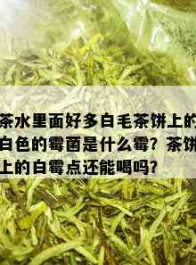 茶水里面好多白毛茶饼上的白色的霉菌是什么霉？茶饼上的白霉点还能喝吗？