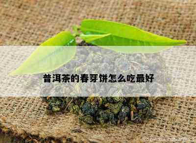 普洱茶的春芽饼怎么吃更好