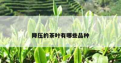 降压的茶叶有哪些品种