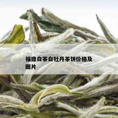 福鼎白茶白牡丹茶饼价格及图片