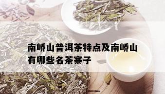 南峤山普洱茶特点及南峤山有哪些名茶寨子