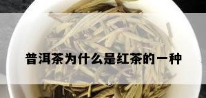 普洱茶为什么是红茶的一种