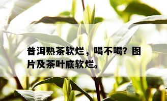 普洱熟茶软烂，喝不喝？图片及茶叶底软烂。