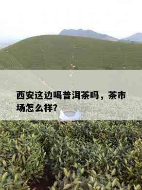 西安这边喝普洱茶吗，茶市场怎么样？