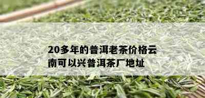 20多年的普洱老茶价格云南可以兴普洱茶厂地址