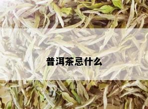 普洱茶忌什么