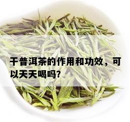 干普洱茶的作用和功效，可以天天喝吗？