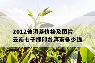 2012普洱茶价格及图片云南七子绿印普洱茶多少钱