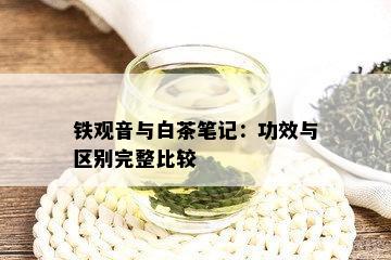 铁观音与白茶笔记：功效与区别完整比较