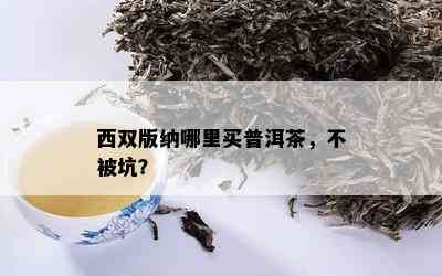 西双版纳哪里买普洱茶，不被坑？