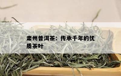 肃州普洱茶：传承千年的优质茶叶