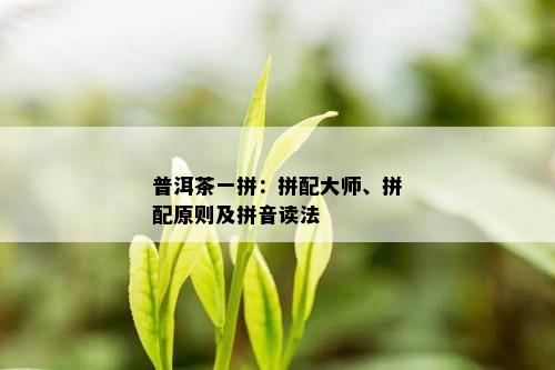 普洱茶一拼：拼配大师、拼配原则及拼音读法