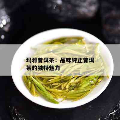 玛雅普洱茶：品味纯正普洱茶的独特魅力