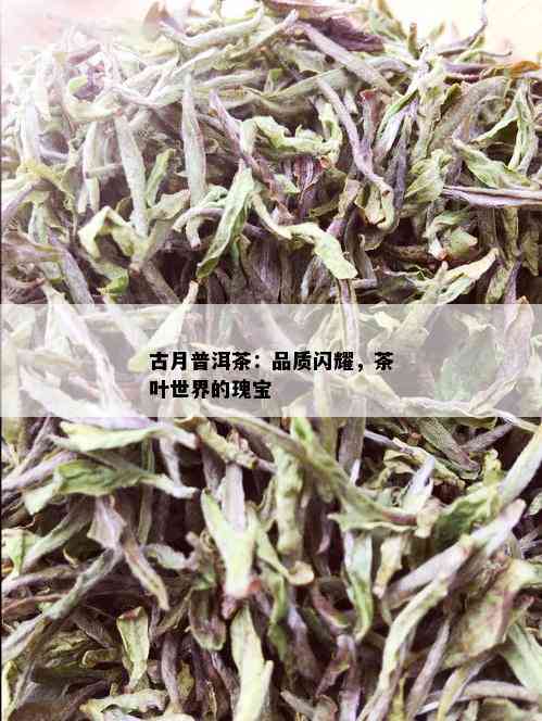 古月普洱茶：品质闪耀，茶叶世界的瑰宝