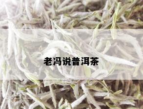 老冯说普洱茶