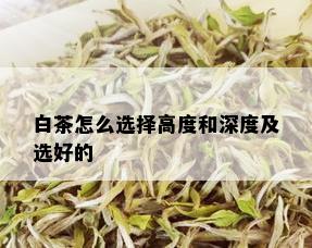 白茶怎么选择高度和深度及选好的