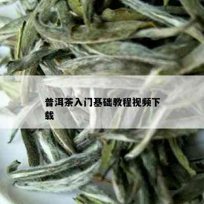 普洱茶入门基础教程视频下载