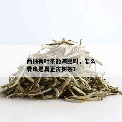 西柚荷叶茶能减肥吗，怎么看出是真正古树茶？