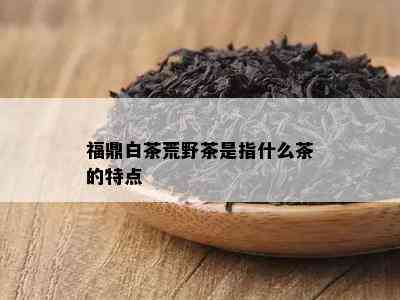 福鼎白茶荒野茶是指什么茶的特点