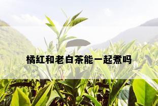 橘红和老白茶能一起煮吗