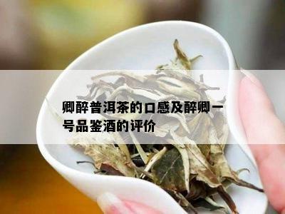 卿醉普洱茶的口感及醉卿一号品鉴的评价