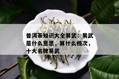 普洱茶知识大全易武：易武是什么意思，算什么档次，十大名牌易武