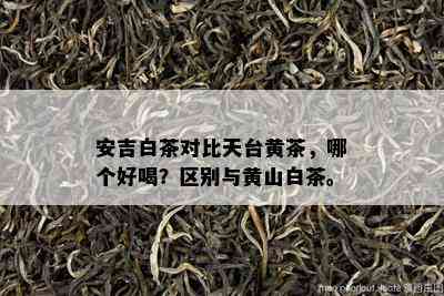 安吉白茶对比天台黄茶，哪个好喝？区别与黄山白茶。