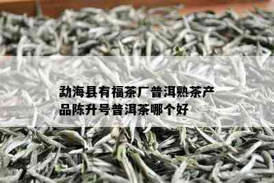 勐海县有福茶厂普洱熟茶产品陈升号普洱茶哪个好