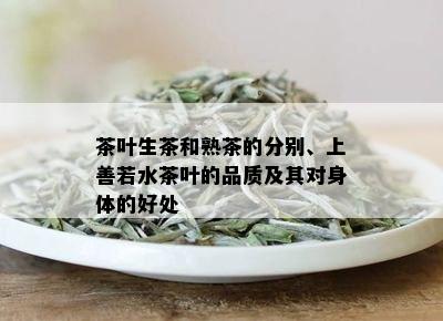 茶叶生茶和熟茶的分别、上善若水茶叶的品质及其对身体的好处