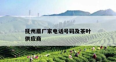 抚州眉厂家电话号码及茶叶供应商